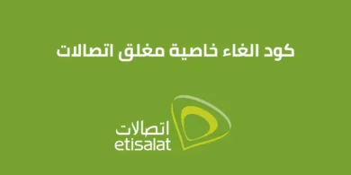 كود إلغاء خاصية مغلق اتصالات 2026 الجديد مع معرفة من هو المتصل كود إلغاء خاصية مغلق اتصالات