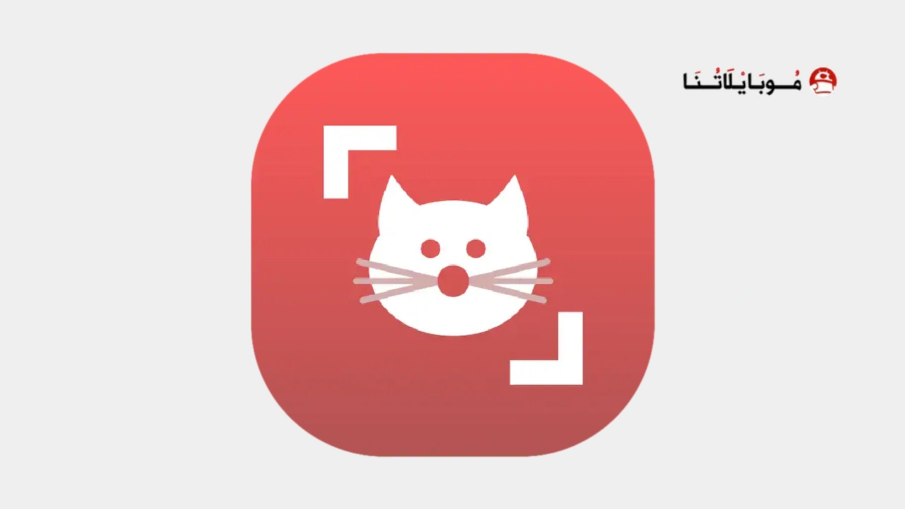 Cat Scanner: Breed Recognition