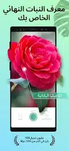تحميل تطبيق PictureThis مهكر APK للأندرويد 2026 أخر إصدار مجانًا تحميل تطبيق PictureThis مهكر APK للأندرويد 2026 أخر إصدار مجانًا