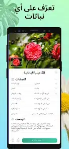 تحميل تطبيق PictureThis مهكر APK للأندرويد 2026 أخر إصدار مجانًا
