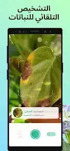 تحميل تطبيق PictureThis مهكر APK للأندرويد 2026 أخر إصدار مجانًا