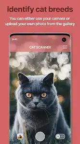 تحميل تطبيق Cat Scanner Breed Recognition مهكر APK للأندرويد 2026 أخر إصدار مجانًا