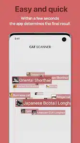 تحميل تطبيق Cat Scanner Breed Recognition مهكر APK للأندرويد 2026 أخر إصدار مجانًا