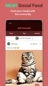 تحميل تطبيق Cat Scanner Breed Recognition مهكر APK للأندرويد 2026 أخر إصدار مجانًا