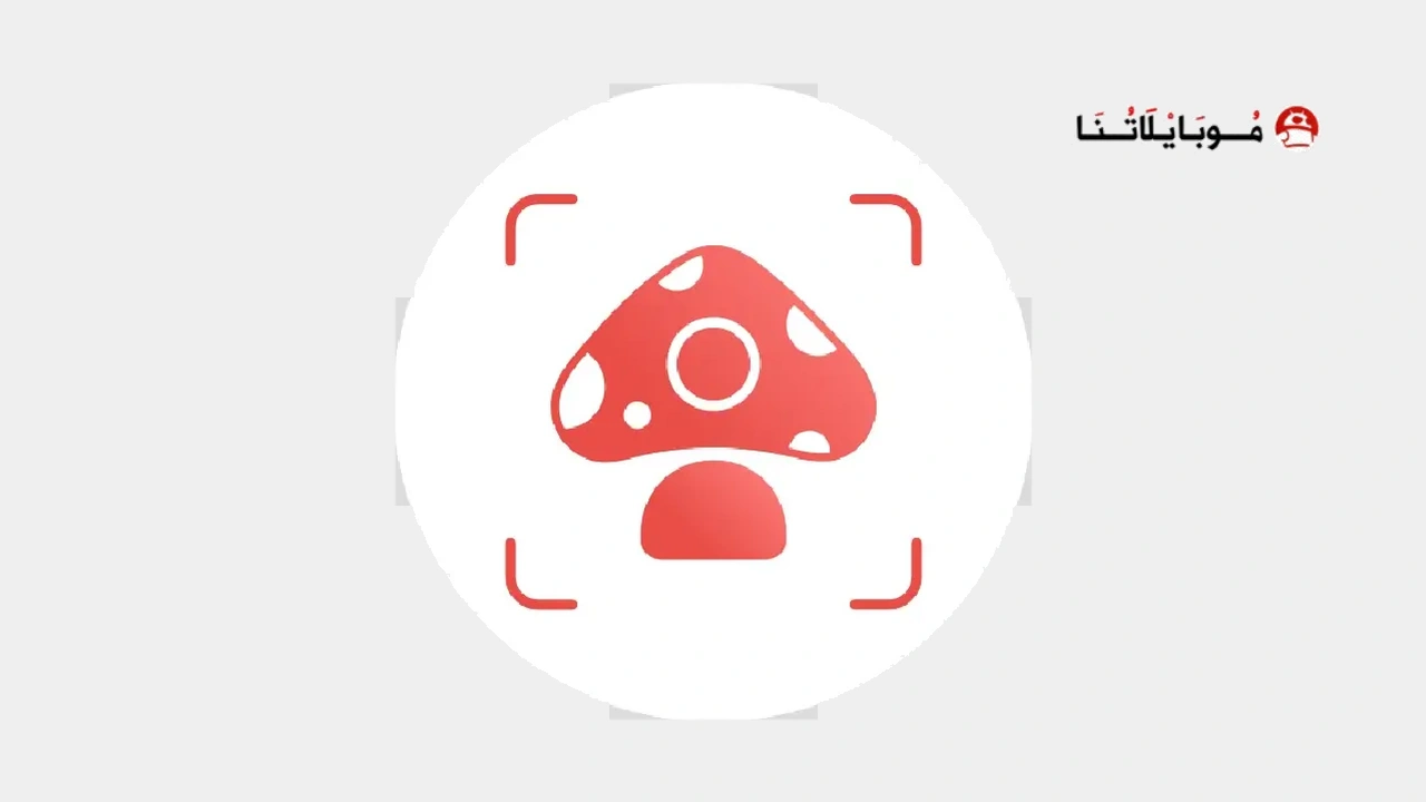 Picture Mushroom