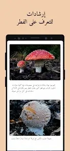 تحميل تطبيق Picture Mushroom مهكر للاندرويد Apk أخر إصدار 2026 مجانا تحميل تطبيق Picture Mushroom مهكر للاندرويد Apk أخر إصدار 2026 مجانا