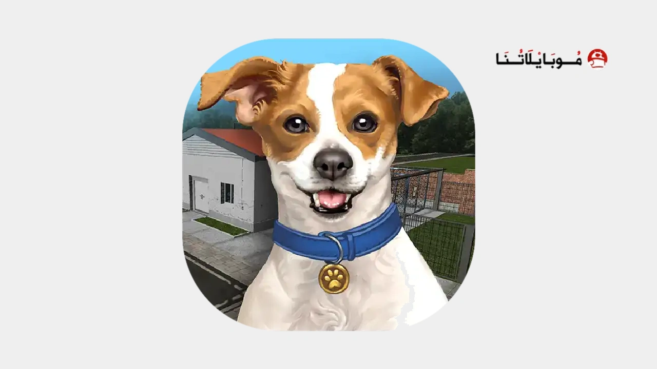 Animal Shelter Simulator