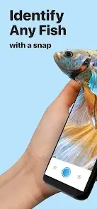 تحميل تطبيق Picture Fish - Fish Identifier مهكر APK للأندرويد 2026 أخر إصدار مجانًا تحميل تطبيق Picture Fish - Fish Identifier مهكر APK للأندرويد 2026 أخر إصدار مجانًا