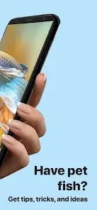 تحميل تطبيق Picture Fish - Fish Identifier مهكر APK للأندرويد 2026 أخر إصدار مجانًا
