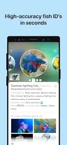 تحميل تطبيق Picture Fish - Fish Identifier مهكر APK للأندرويد 2026 أخر إصدار مجانًا