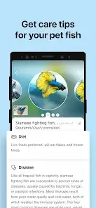 تحميل تطبيق Picture Fish - Fish Identifier مهكر APK للأندرويد 2026 أخر إصدار مجانًا