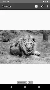 تحميل تطبيق Colorize Images مهكر APK للأندرويد 2026 أخر إصدار مجانًا
