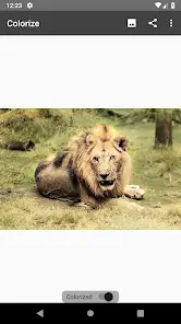 تحميل تطبيق Colorize Images مهكر APK للأندرويد 2026 أخر إصدار مجانًا