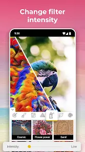 تحميل تطبيق Picturize It مهكر APK للأندرويد 2026 أخر إصدار مجانًا