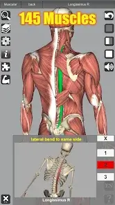 تحميل تطبيق 3D Anatomy مهكر APK للأندرويد 2026 أخر إصدار مجانًا