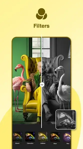 تحميل تطبيق Gallery Photo Editor مهكر للاندرويد Apk أخر إصدار 2026 مجانا تحميل تطبيق Gallery Photo Editor مهكر للاندرويد Apk أخر إصدار 2026 مجانا