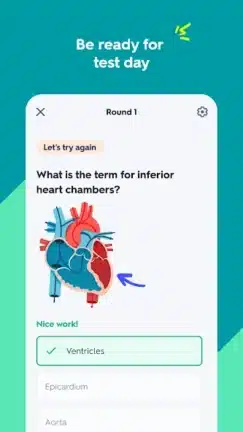 تحميل تطبيق Quizlet Premium مهكر للاندرويد Apk أخر إصدار 2026 مجانا تحميل تطبيق Quizlet Premium مهكر للاندرويد Apk أخر إصدار 2026 مجانا