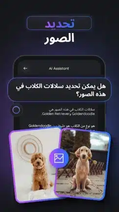 تحميل تطبيق Gemmy AI مهكر للاندرويد Apk أخر إصدار 2026 مجانا تحميل تطبيق Gemmy AI مهكر للاندرويد Apk أخر إصدار 2026 مجانا