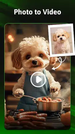 تحميل تطبيق MVideo مهكر للاندرويد Apk أخر إصدار 2026 مجانا تحميل تطبيق MVideo مهكر للاندرويد Apk أخر إصدار 2026 مجانا