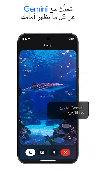 تحميل برنامج جوجل جيميناي Google Gemini AI عربي للاندرويد أخر إصدار 2026 مجانا تحميل برنامج جوجل جيميناي Google Gemini AI عربي للاندرويد أخر إصدار 2026 مجانا