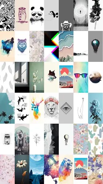 تحميل تطبيق Walli premium مهكر APK للأندرويد 2026 أخر إصدار مجانًا