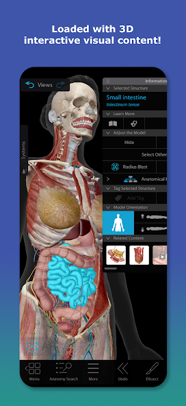 تحميل تطبيق Human Anatomy Atlas مهكر APK للأندرويد 2026 أخر إصدار مجانًا