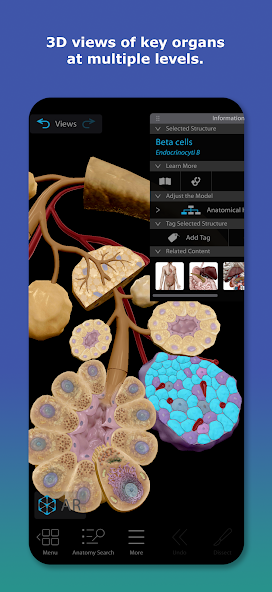 تحميل تطبيق Human Anatomy Atlas مهكر APK للأندرويد 2026 أخر إصدار مجانًا