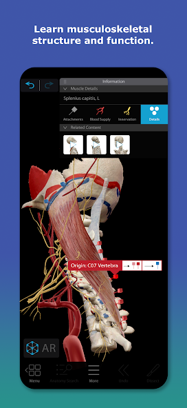 تحميل تطبيق Human Anatomy Atlas مهكر APK للأندرويد 2026 أخر إصدار مجانًا