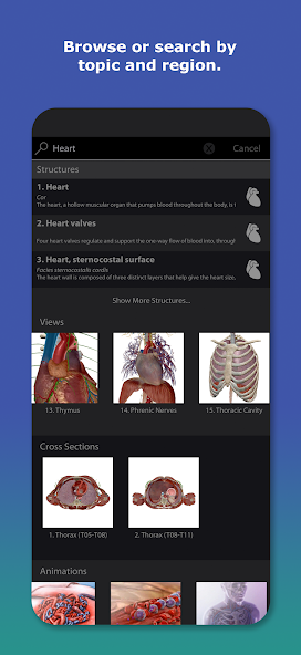 تحميل تطبيق Human Anatomy Atlas مهكر APK للأندرويد 2026 أخر إصدار مجانًا