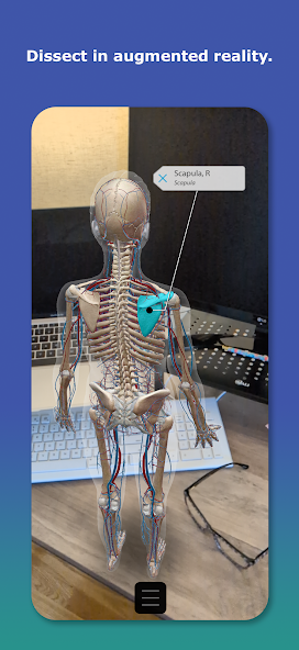 تحميل تطبيق Human Anatomy Atlas مهكر APK للأندرويد 2026 أخر إصدار مجانًا