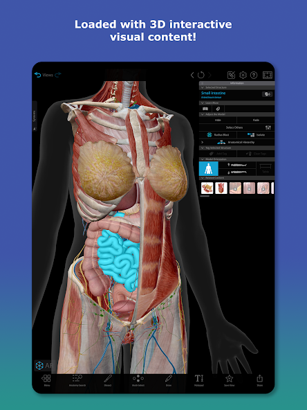 تحميل تطبيق Human Anatomy Atlas مهكر APK للأندرويد 2026 أخر إصدار مجانًا